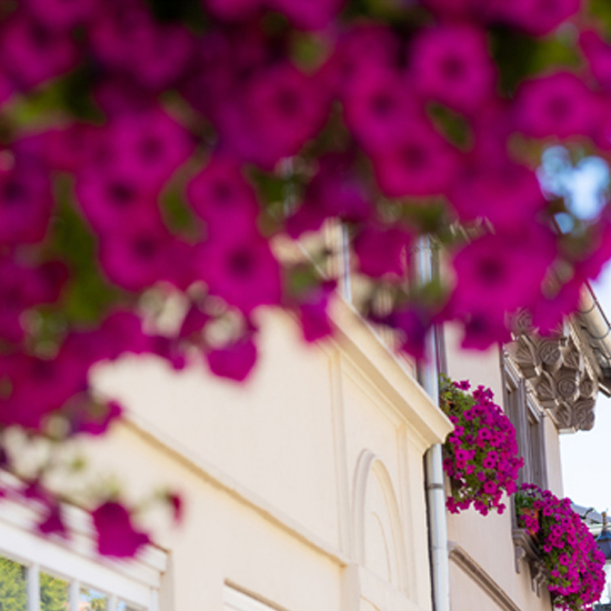Blumen für Anwohner